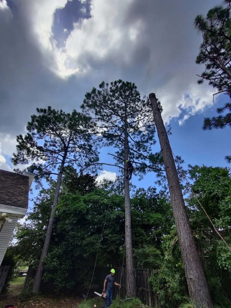 Expert yard cleanup service experts serving Destin, FL - Emerald Wave 360