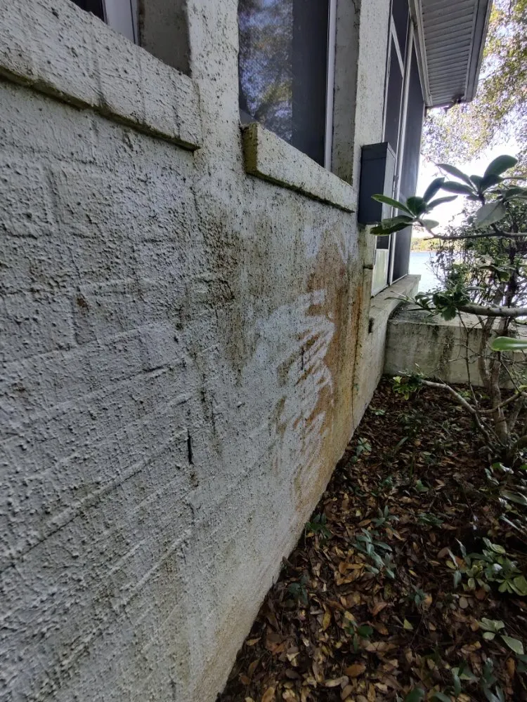 Expert yard cleanup service for outdoor upgrades across Destin, FL - Emerald Wave 360