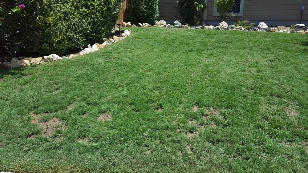 Custom landscape design in Converse, TX by Emerald Yards