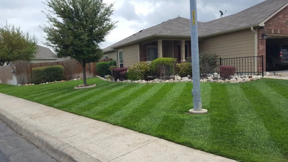 Reliable lawn mowing service experts serving Converse, TX - Emerald Yards