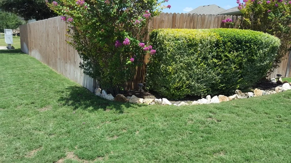Local lawn care service experts serving Converse, TX - Emerald Yards