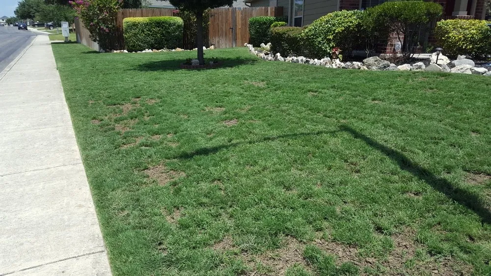 Expert outdoor landscaping for homes in Converse, TX by Emerald Yards