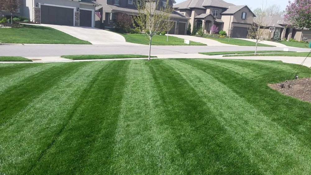 Expert residential landscaping experts serving Converse, TX - Emerald Yards