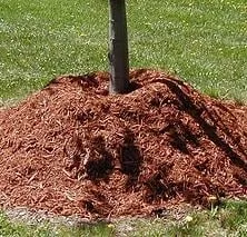 Trusted lawn care service in Sheffield Village, OH - Emerald Yardscape Snow Removal and Landscaping