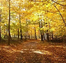 Expert residential landscaping for beautiful yards in Sheffield Village, OH by Emerald Yardscape Snow Removal and Landscaping