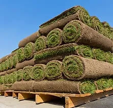 Emerald Yardscape Snow Removal and Landscaping