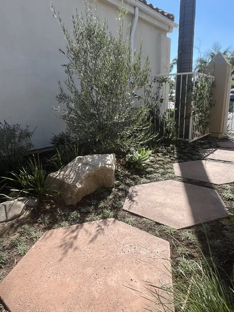 Professional outdoor landscaping experts serving Anaheim, CA - Emerge Landscape