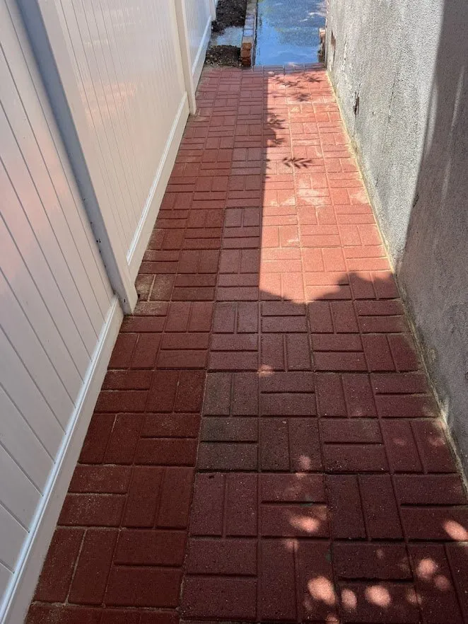 Local landscape design for homes in Anaheim, CA by Emerge Landscape