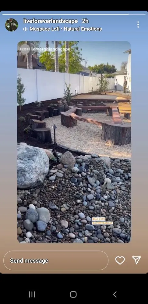 Reliable yard maintenance for residential properties in Anaheim, CA by Emerge Landscape