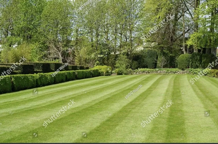 Local yard cleanup service in Newcastle, OK by Emerge Lawns