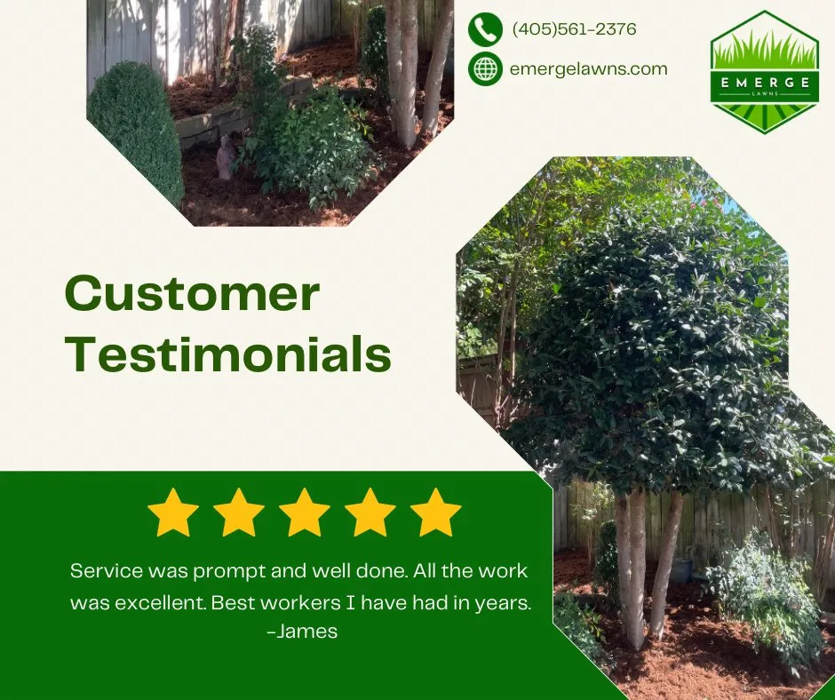 Expert yard cleanup service near you in Newcastle, OK by Emerge Lawns