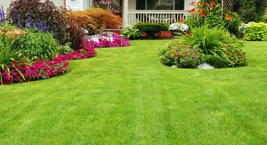 Professional yard cleanup service for residential properties across Bayport, NY - Emergency Cut N Trim