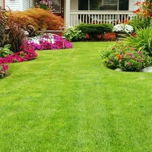 Local yard cleanup service in Bayport, NY - Emergency Cut N Trim