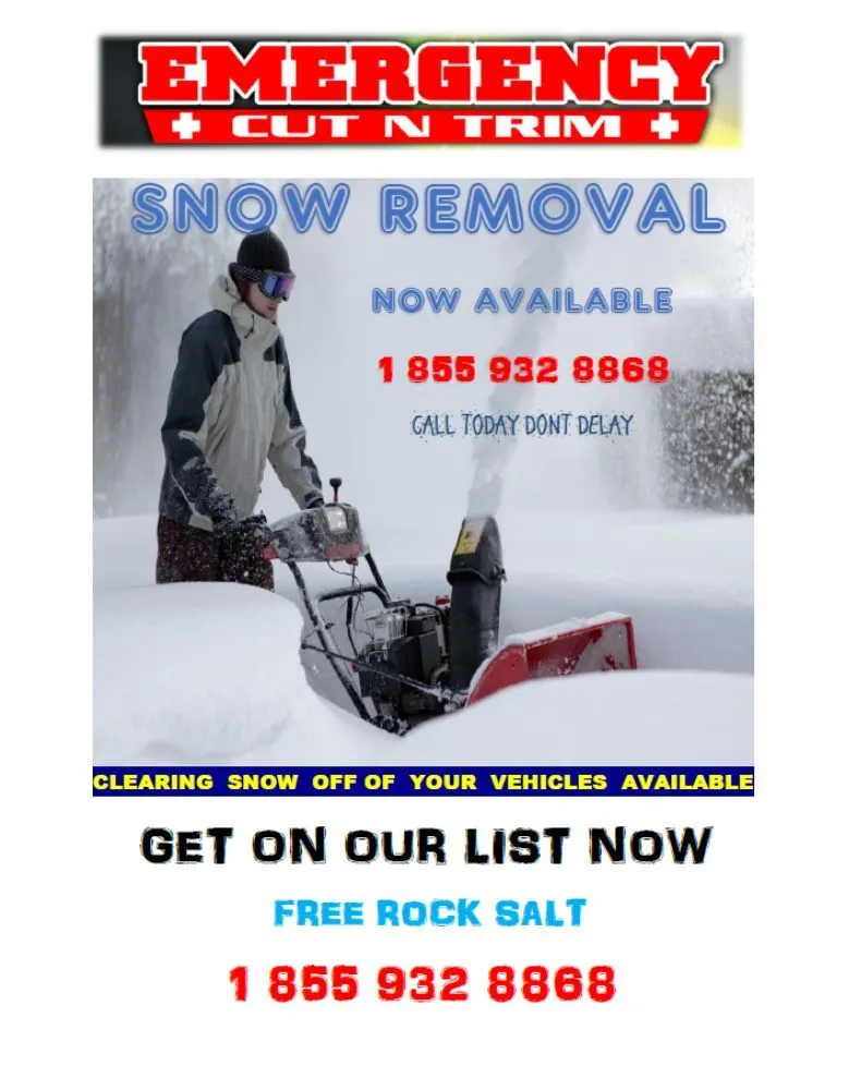 Custom outdoor landscaping for residential properties in Bayport, NY by Emergency Cut N Trim