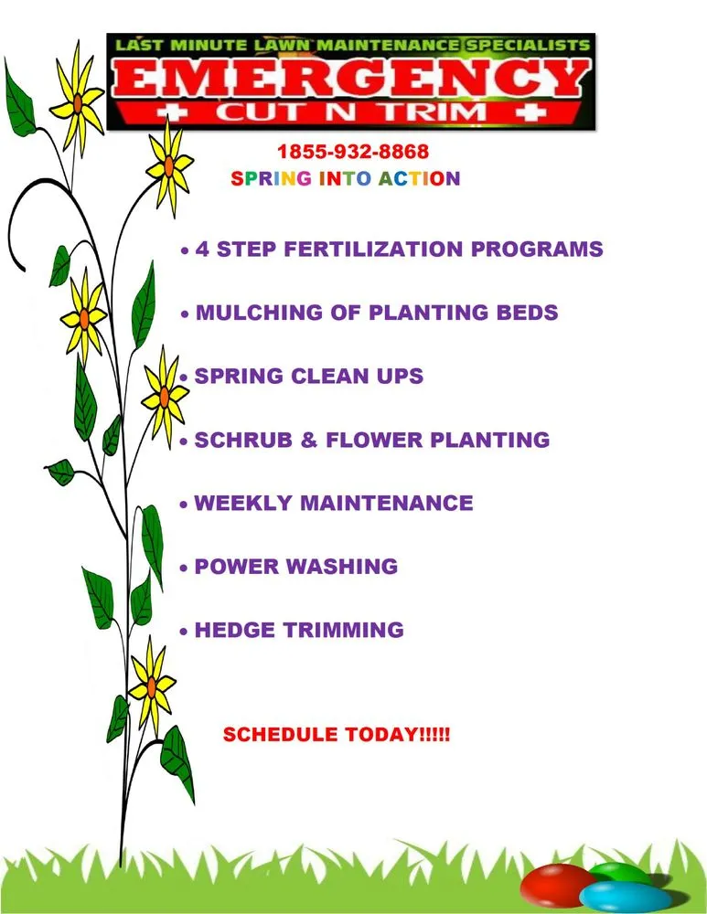 Custom lawn care service in Bayport, NY - Emergency Cut N Trim