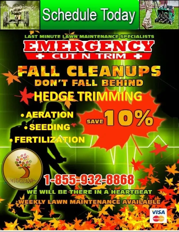 Trusted outdoor landscaping in Bayport, NY - Emergency Cut N Trim