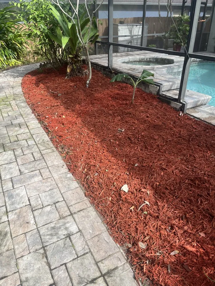 Reliable landscape design experts serving Alafaya, FL - Emergency Junk Removal