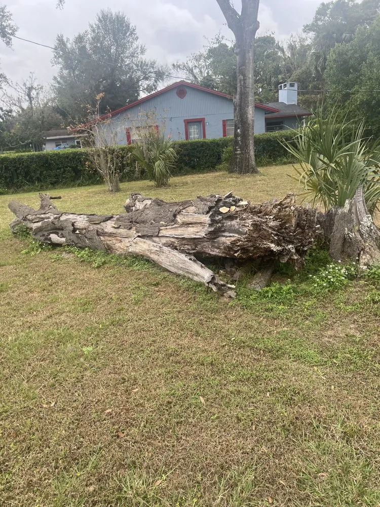 Custom landscaping services for beautiful yards in Alafaya, FL by Emergency Junk Removal