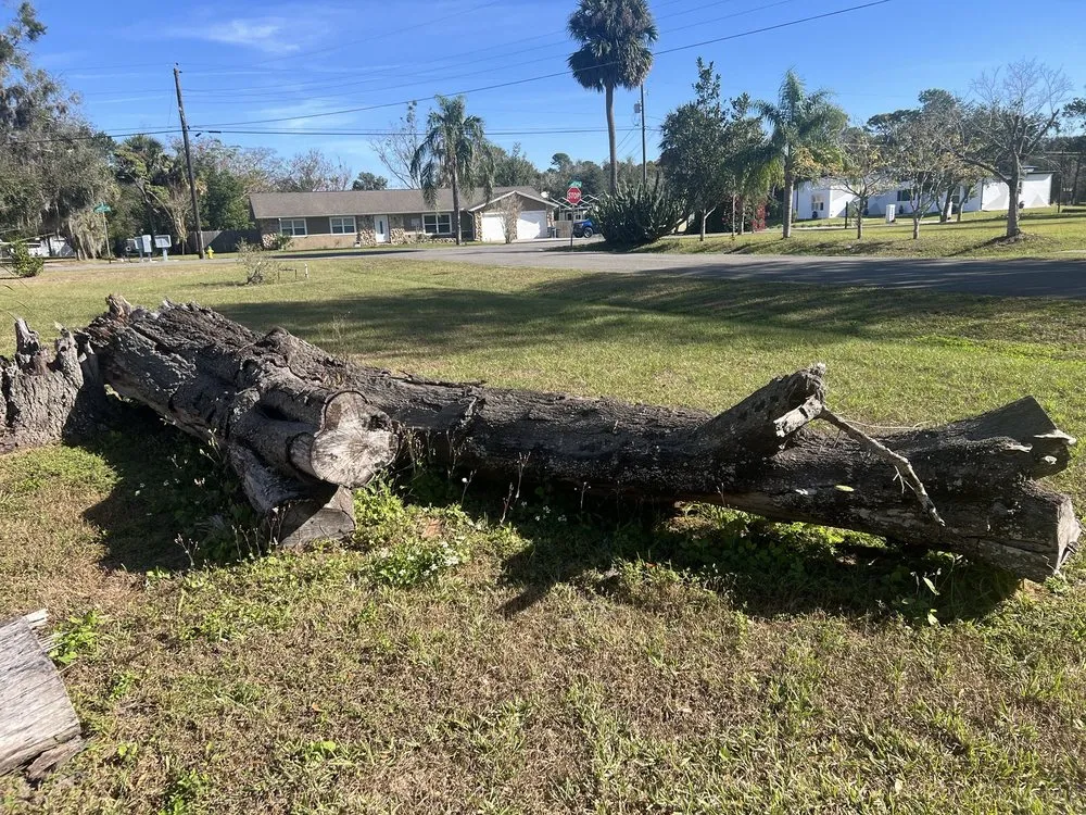 Local lawn care service experts serving Alafaya, FL - Emergency Junk Removal
