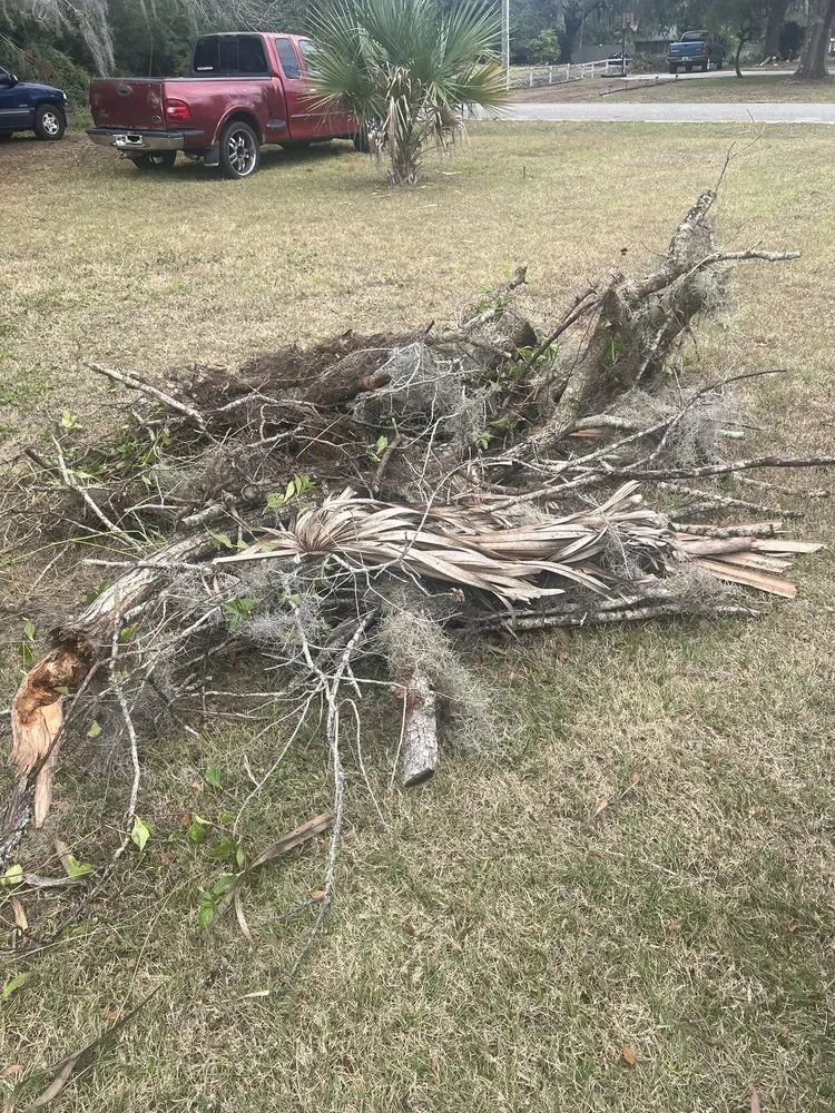 Affordable lawn mowing service experts serving Alafaya, FL - Emergency Junk Removal