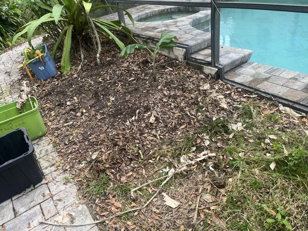 Affordable landscape design for residential properties in Alafaya, FL by Emergency Junk Removal