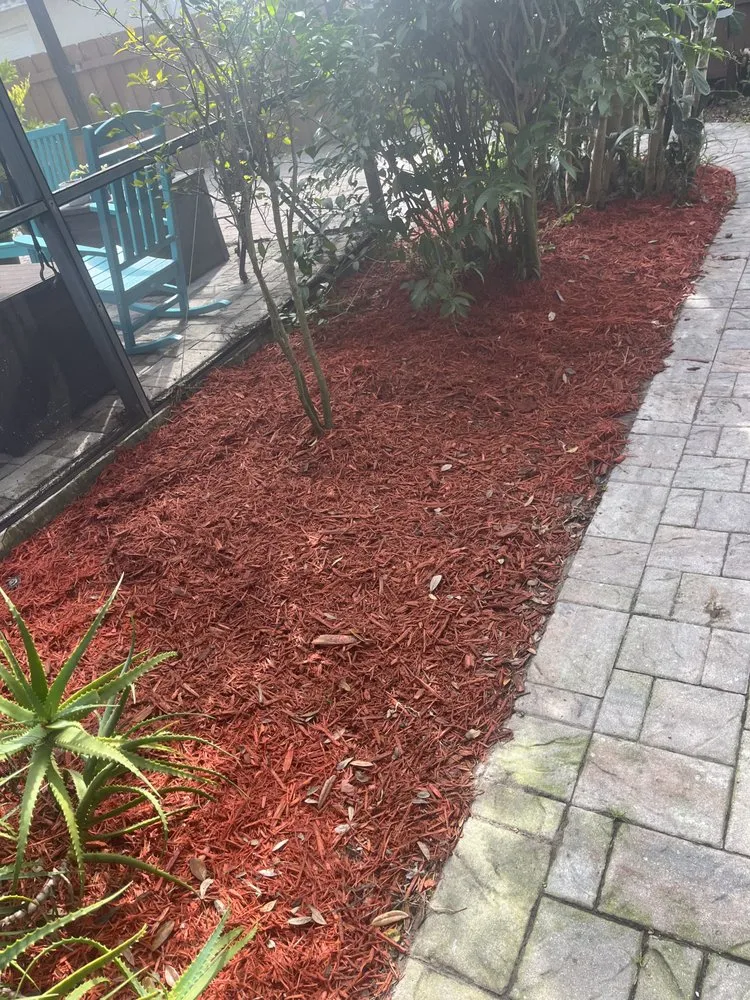 Professional lawn care service experts serving Alafaya, FL - Emergency Junk Removal