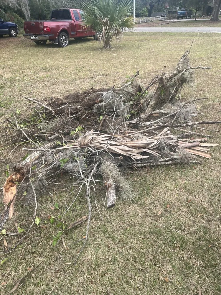 Professional lawn care service for outdoor upgrades across Alafaya, FL - Emergency Junk Removal