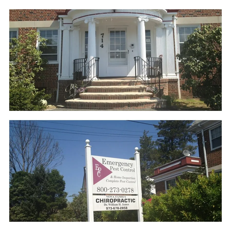 Custom outdoor landscaping for residential properties in Orange, NJ by Emergency Pest Control