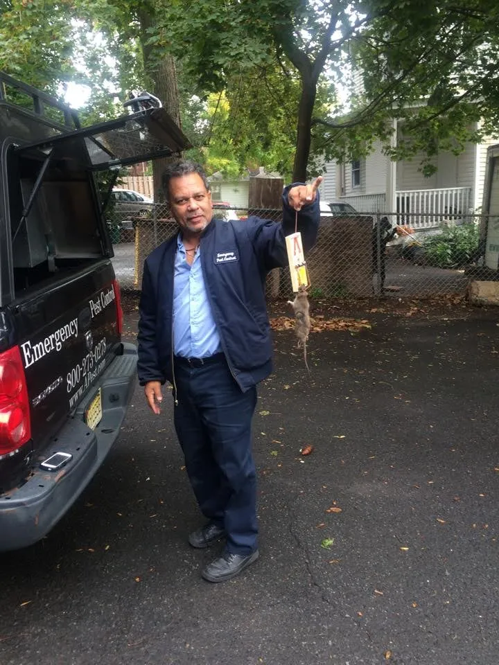 Reliable garden landscaping in Orange, NJ - Emergency Pest Control