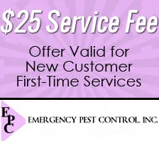 Professional landscape design in Orange, NJ - Emergency Pest Control