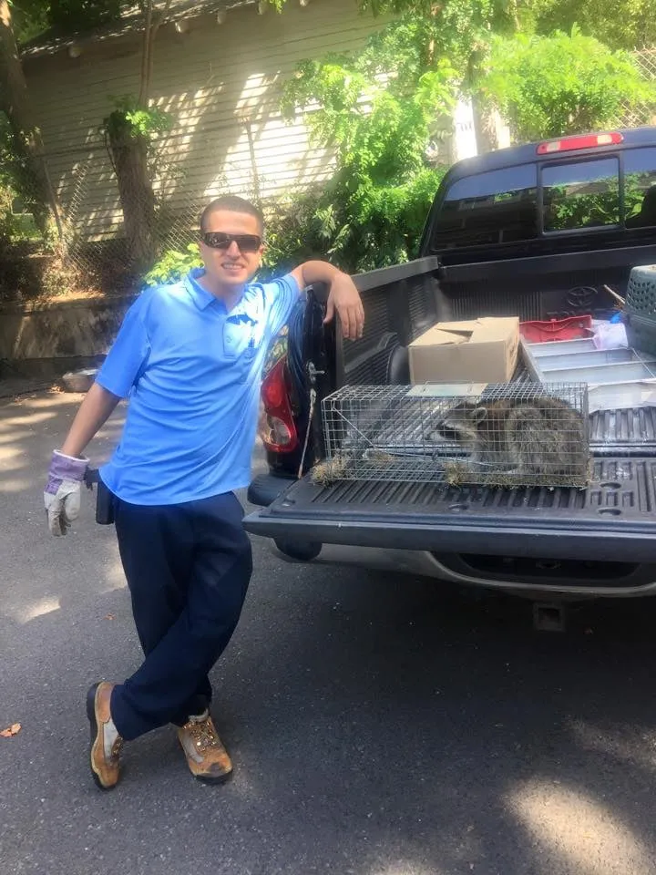 Top-rated outdoor landscaping in Orange, NJ - Emergency Pest Control