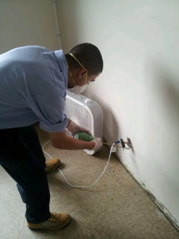 Affordable yard maintenance in Orange, NJ - Emergency Pest Control