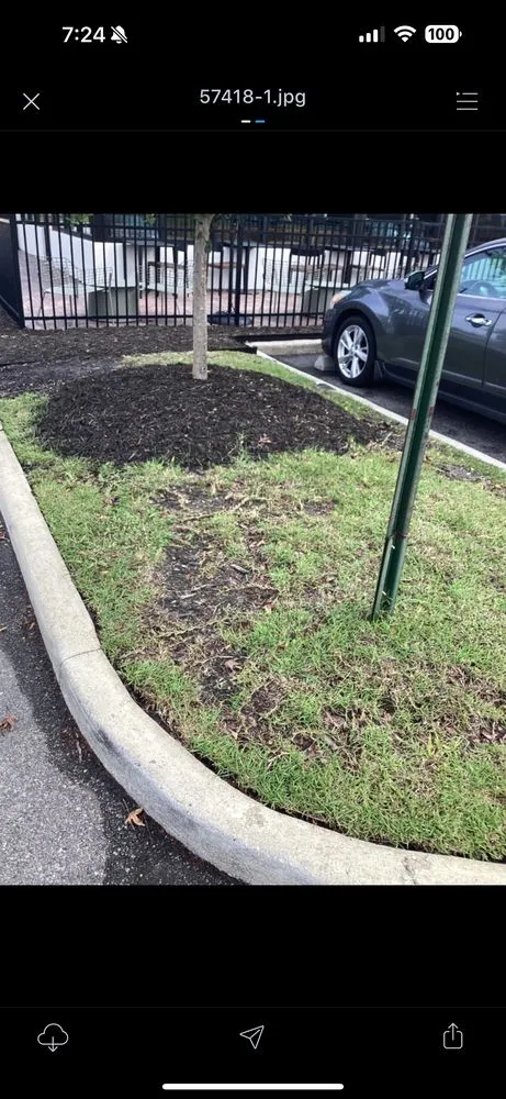 Trusted landscaping services in White Oak, GA - Emerson Lawn and Landscaping
