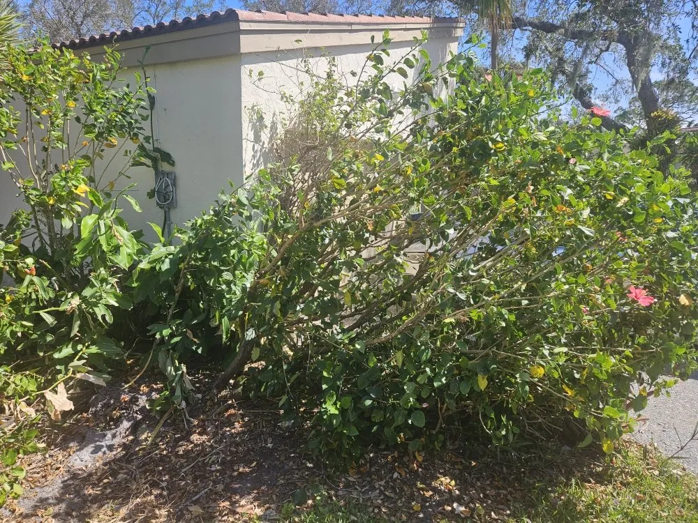 Affordable outdoor landscaping in Palmetto, FL by Emerson Property Services