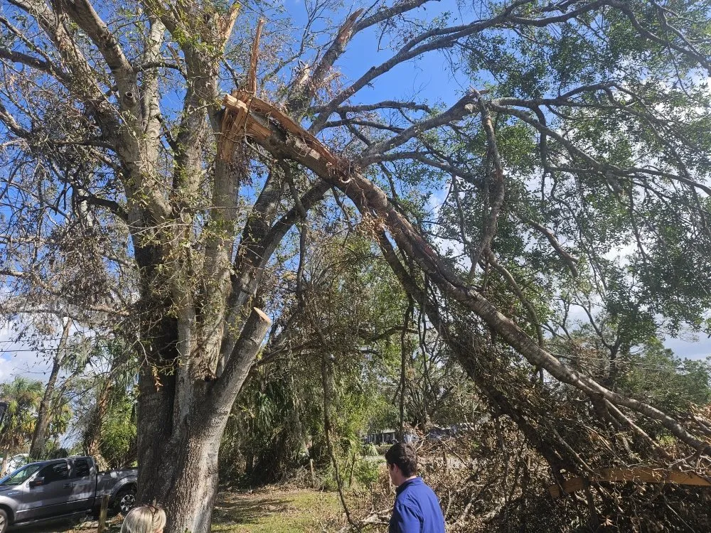 Expert garden landscaping in Palmetto, FL by Emerson Property Services