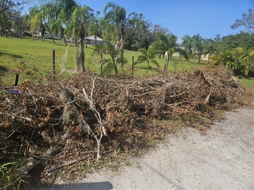 Professional landscape design in Palmetto, FL - Emerson Property Services