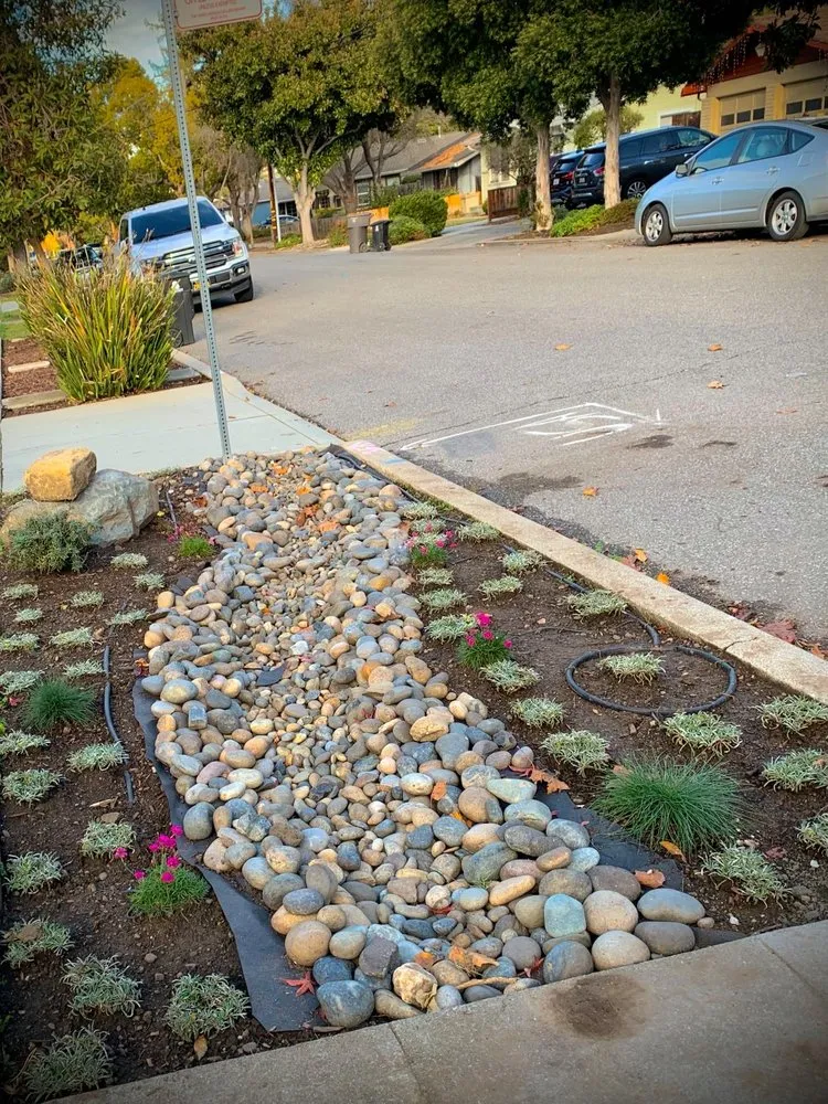 Affordable lawn care service for residential properties across Gilroy, CA - EMG Construction Landscaping