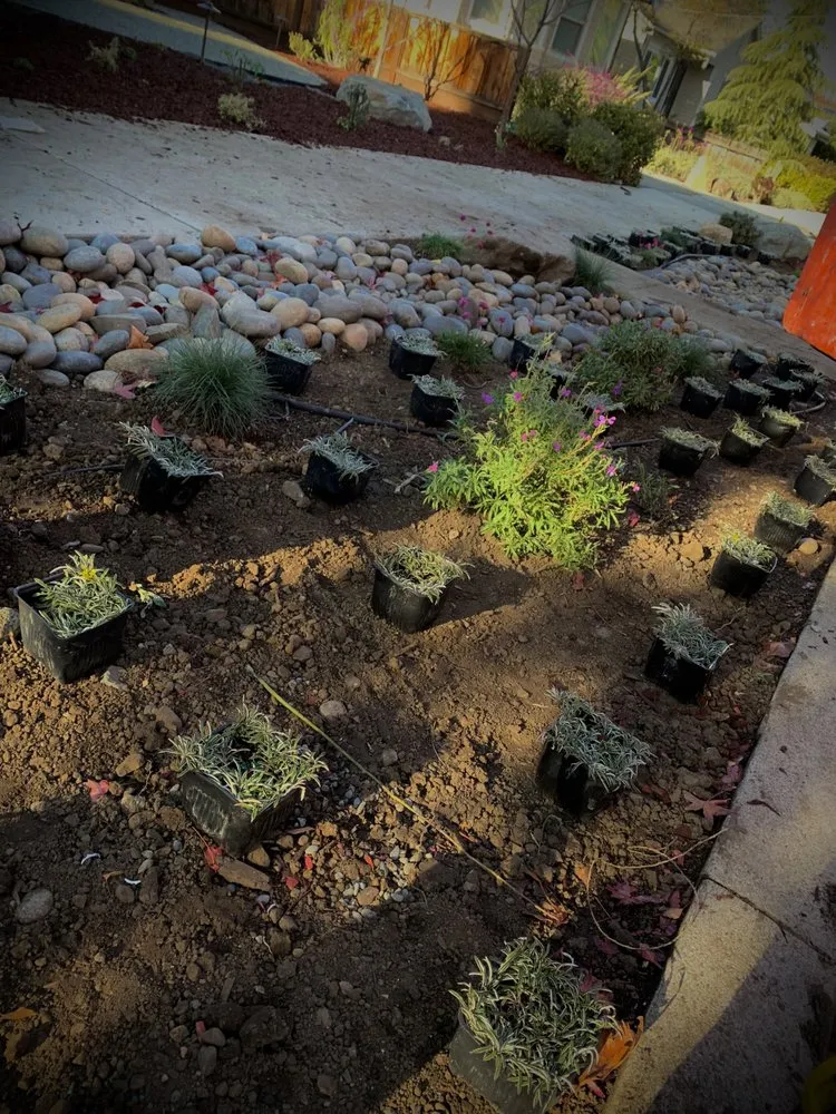 Trusted landscape design in Gilroy, CA - EMG Construction Landscaping