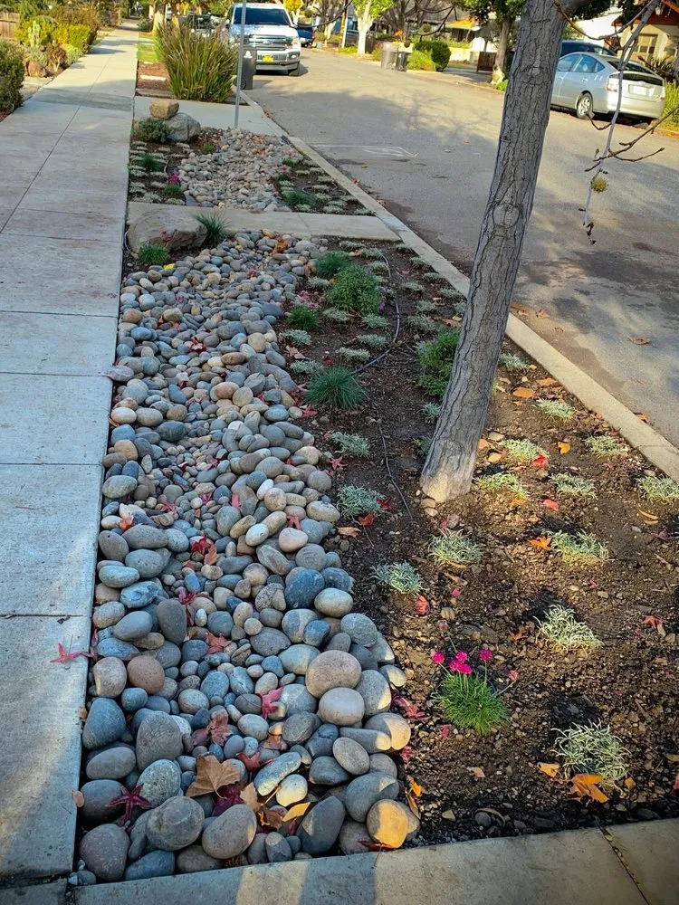 Trusted yard cleanup service in Gilroy, CA by EMG Construction Landscaping