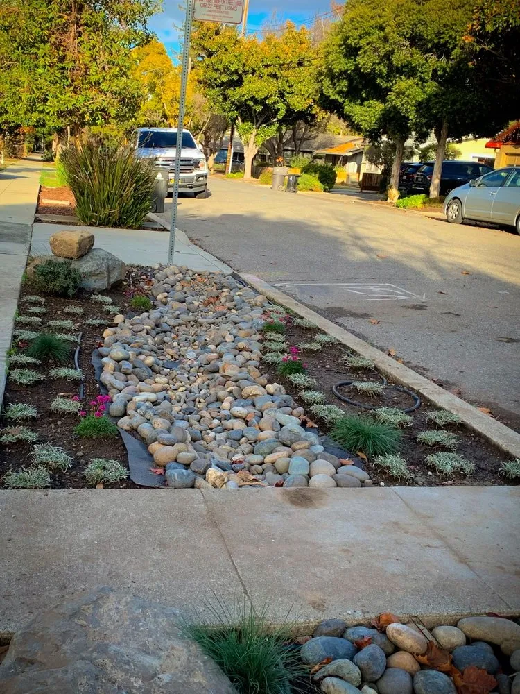 Affordable lawn care service in Gilroy, CA by EMG Construction Landscaping
