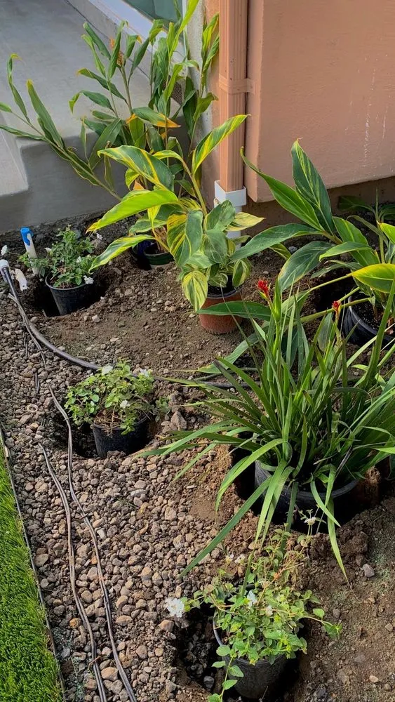 Top-rated garden landscaping experts serving Gilroy, CA - EMG Construction Landscaping