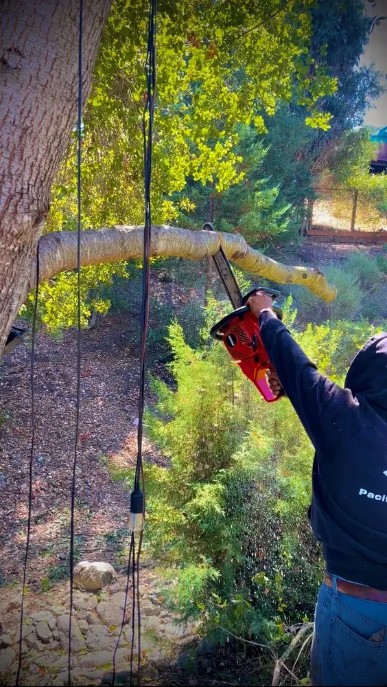 Professional lawn care service in Gilroy, CA by EMG Construction Landscaping