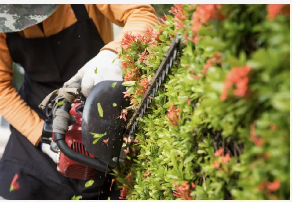 Professional residential landscaping for homes across North Haven, CT - EMG Landscape Design