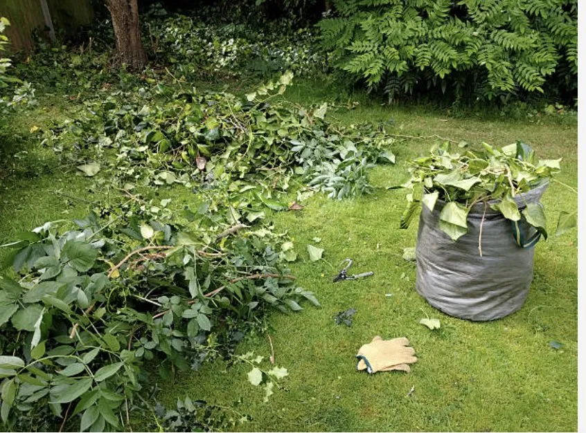 Local landscape design in North Haven, CT by EMG Landscape Design