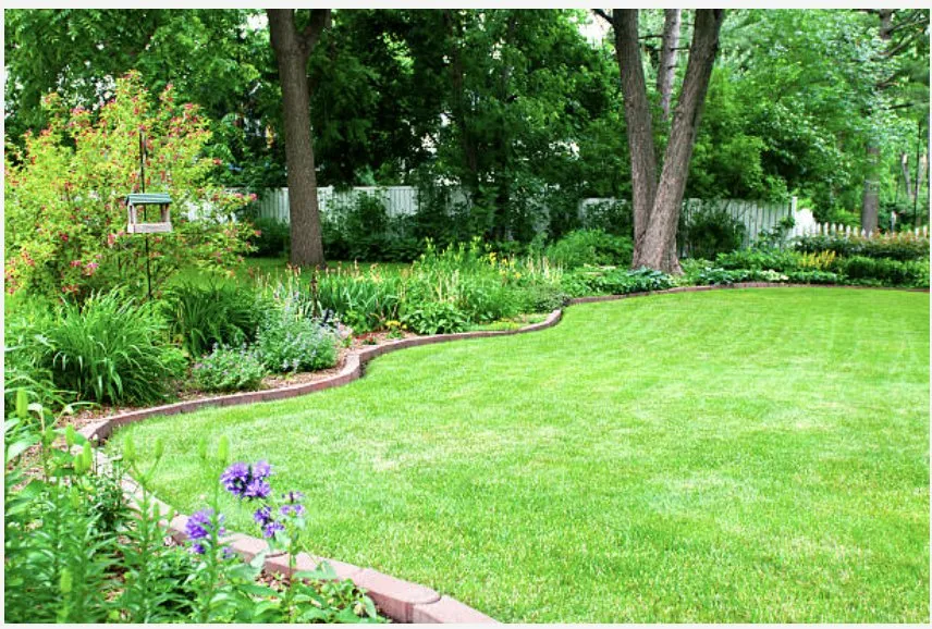 Local yard maintenance in North Haven, CT - EMG Landscape Design