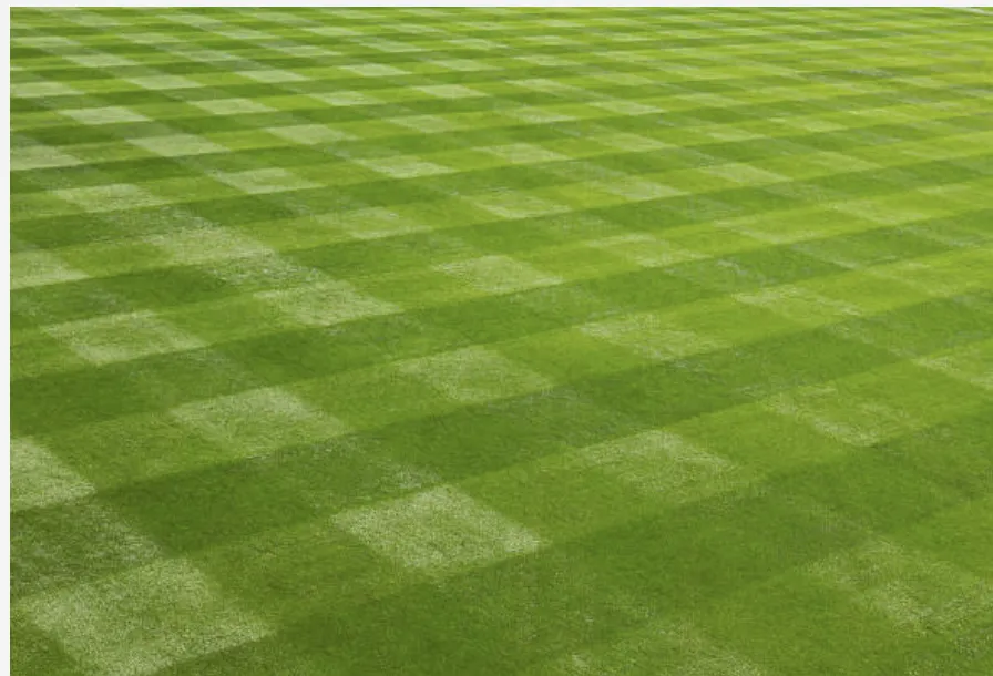 Reliable lawn care service in North Haven, CT by EMG Landscape Design