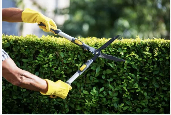 EMG Landscape Design Logo