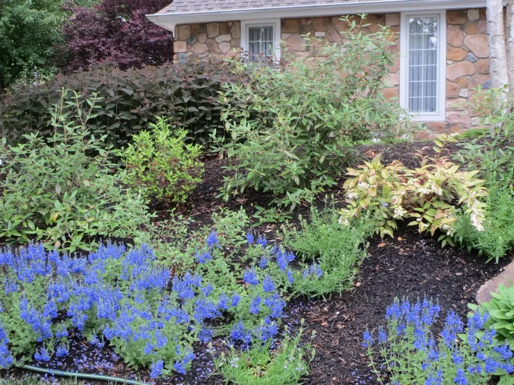 Local garden landscaping experts serving Media, PA - Emil Weiss Landscaping