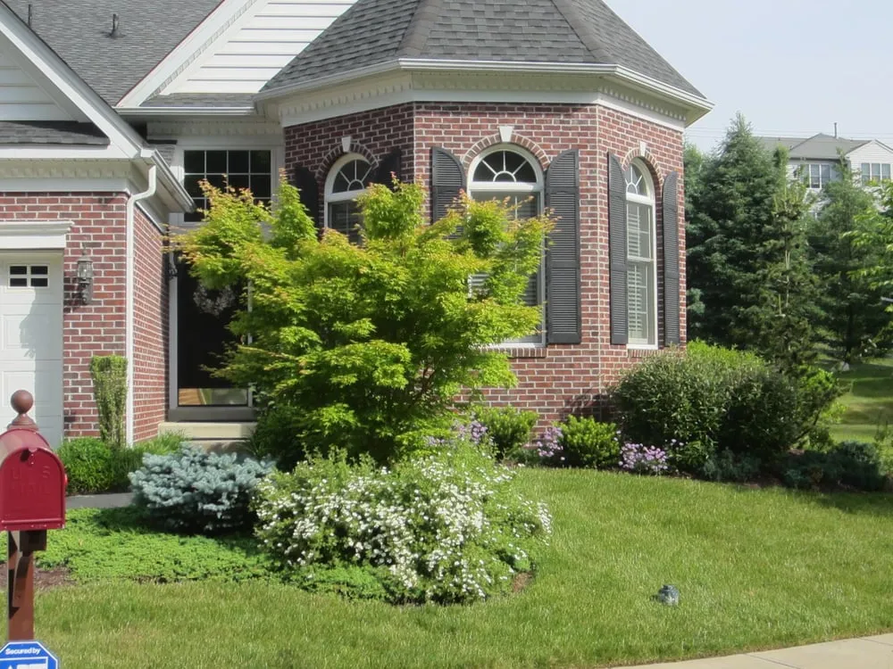 Local yard cleanup service for beautiful yards in Media, PA by Emil Weiss Landscaping