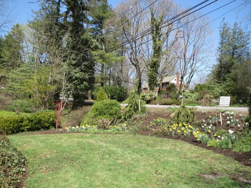 Reliable outdoor landscaping in Media, PA - Emil Weiss Landscaping
